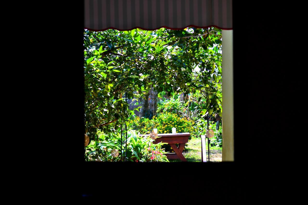 Hotel Casa Aura Cartago Luaran gambar